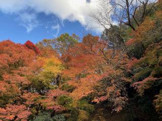 火属性とは